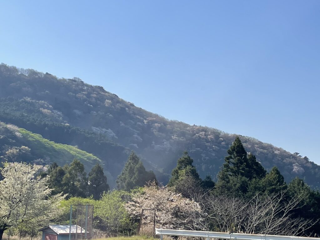 Spring has come.1