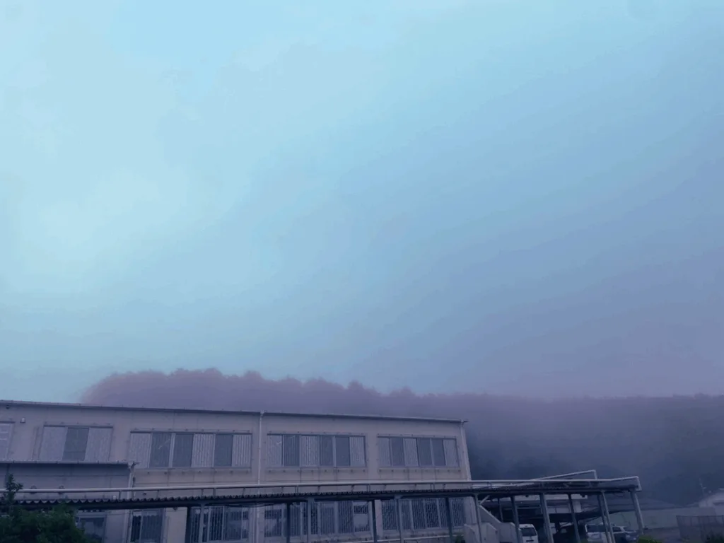 朝霧3