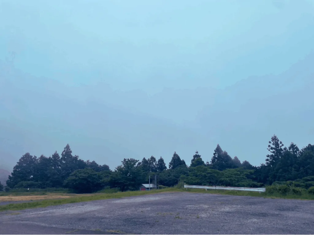 朝霧2