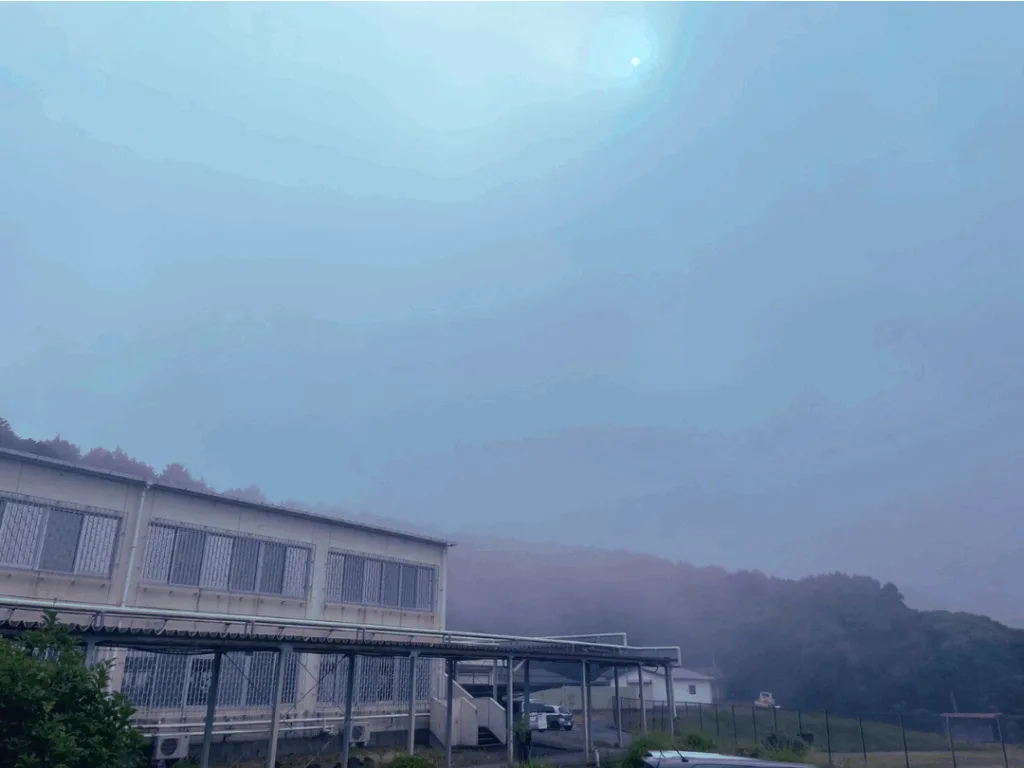 朝霧