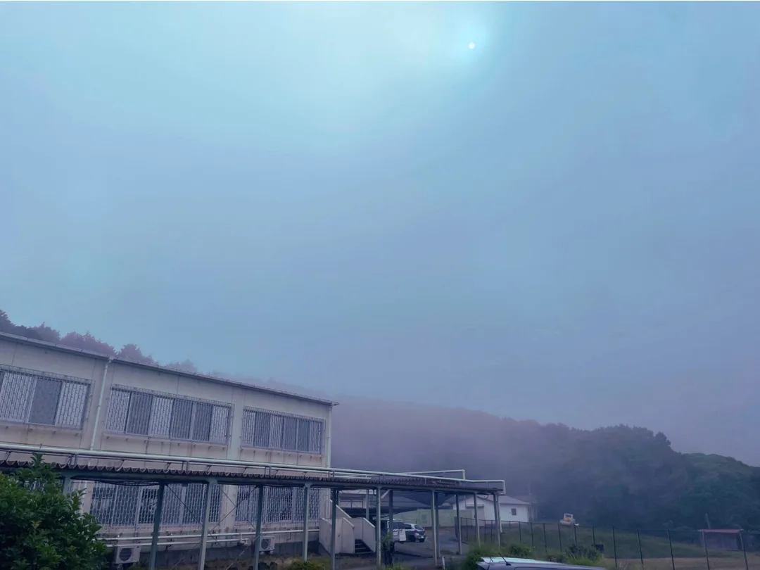 朝霧
